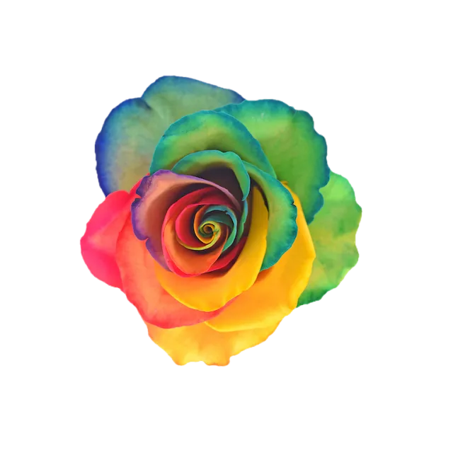 Colored roses